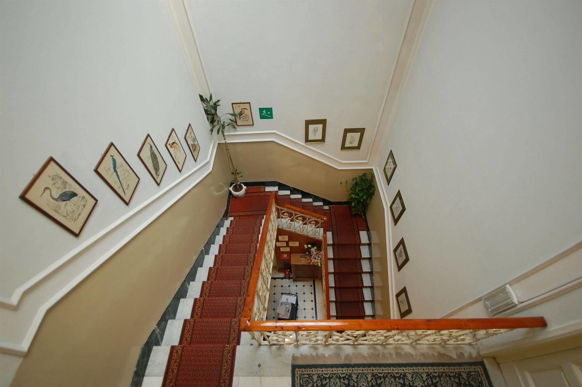 Hotel Ely Βιαρέτζιο Εξωτερικό φωτογραφία